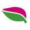 Basil Practice Management cloud hosting
