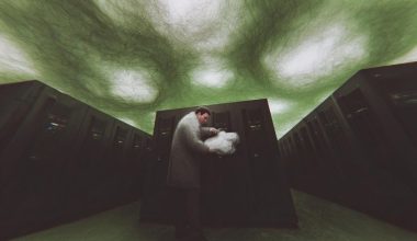 Cloud Hosting vs Local Server for Accountants What’s Best for Your Firm