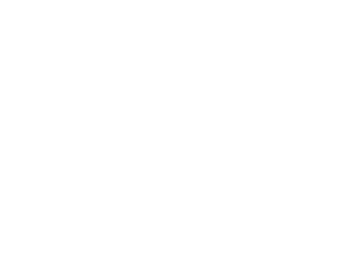 National Association of Enrolled Agents (NAEA) logo